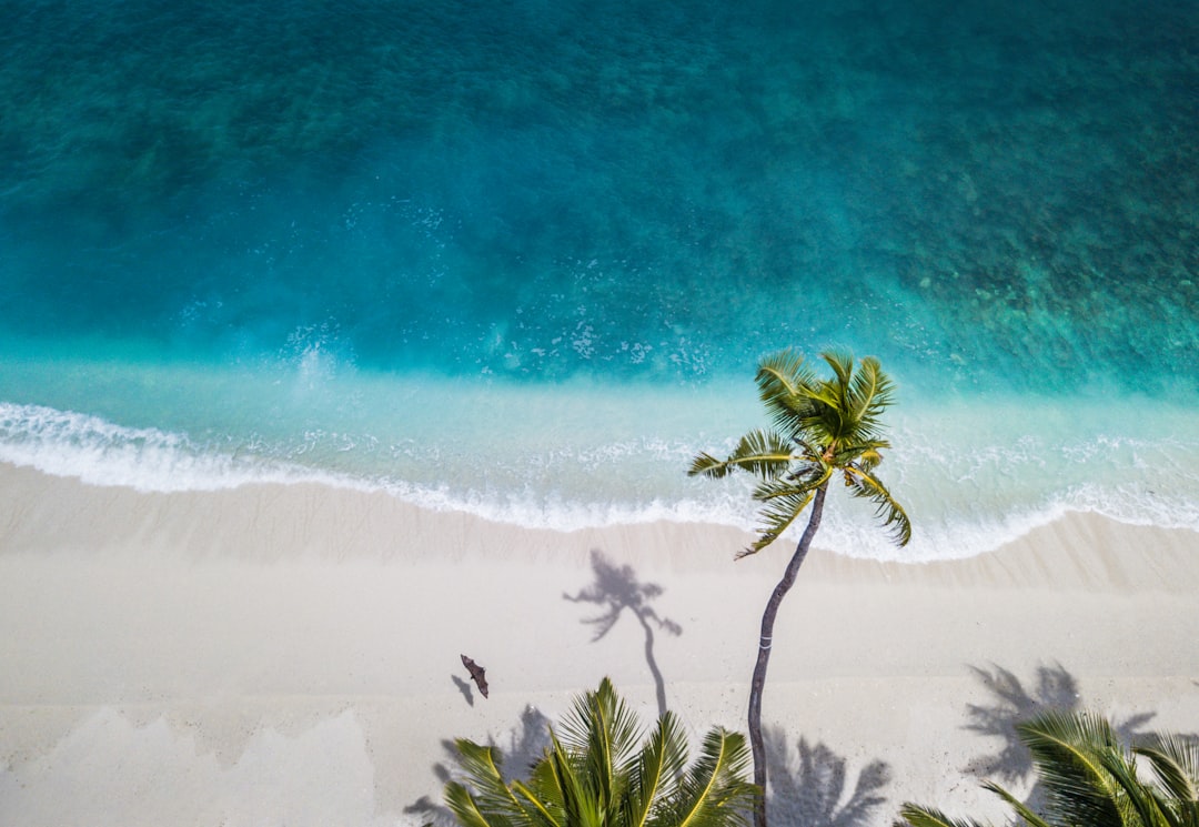 Photo beach